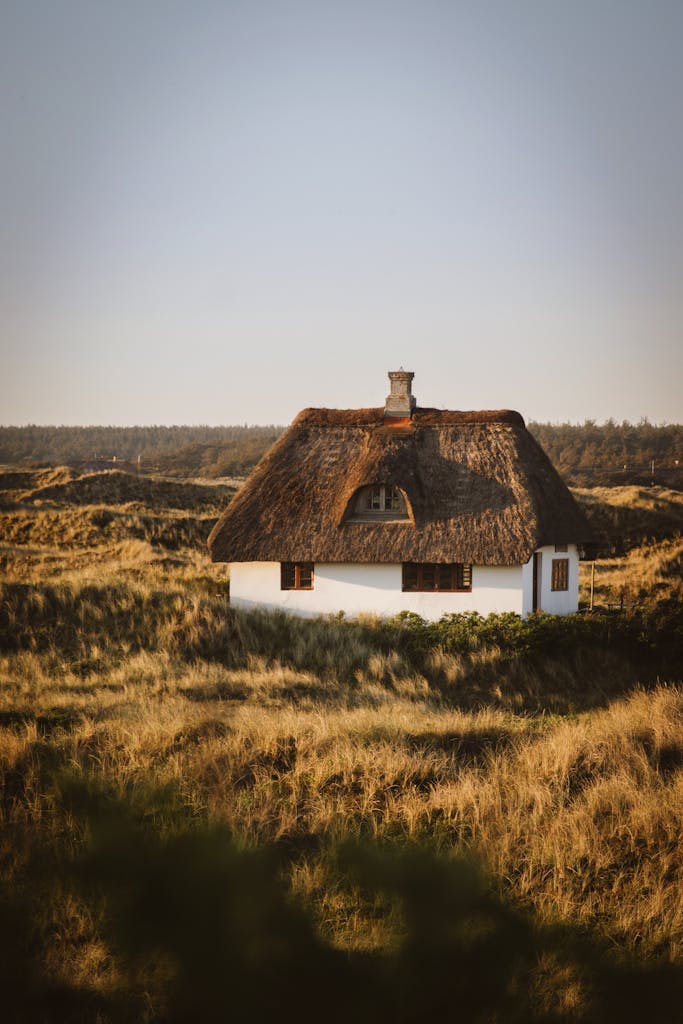 A picturesque thatched roof house amidst golden fields in rural Denmark during a sunny day.